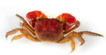 旋乐吧spin8科技