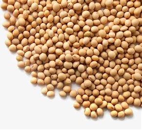 旋乐吧spin8科技